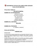 BIOLOGÍA ADN MITOCONDRIAL