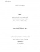 Funciones Y Procesos Del Presupuesto