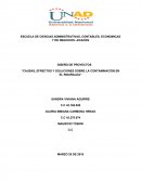 Causas, efrectos y soluciones sobre la contaminación en el Risaralda