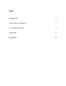 ¿Qué es politica economica?