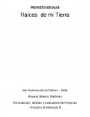 Formulación, Gestión y Evaluación de Proyecto – Practica Profesional III