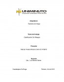 TRABAJO CLASIFICACION GENERAL DE RIESGO LABORAL