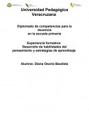 Desarrollo de habilidades del pensamiento y estrategias de aprendizaje