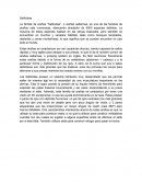 Salticidae