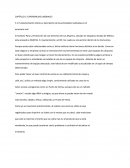 CAPÍTULO 3. EXPERIENCIAS LABORALES