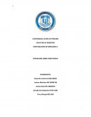 INVESTIGACION DE MERCADOS II EXPOSICION SOBRE INSECTICIDAS