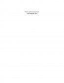 Informe de Dimensionamiento