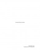 Terminal de bus san borja. Fundamentos de la Comunicación