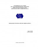 Manual Unico en Materia de cadena de custodia de evidencias fisicas.