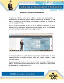 Informe técnico estadístico