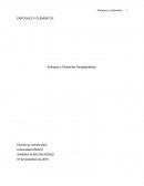 Enfoques y Elementos Paradigmáticos.