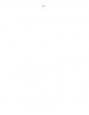 Auditoria administrativa que representa el control de las medidas establecidas