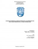 CAUSAS QUE GENERAN EL RÁPIDO DETERIORO EN LAS DIFERENTES VÍAS ASFALTADAS PRESENTES EN LA CIUDAD DE MARACAIBO