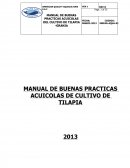MANUAL DE BUENAS PRACTICAS ACUICOLAS DE CULTIVO DE TILAPIA
