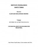 INFORME DE ALFABETIZACION 2014