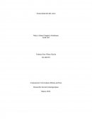 ACTIVIDAD 8 Desarrollo Social Contemporáneo