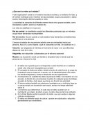 ¿Que son los roles y el estatus?