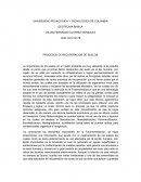 PROCESOS DE RECUPERACION DE SUELOS