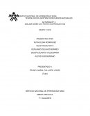 Actividad Análisis sobre los proyectos productivos