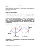 Reflexión de un conductor perfecto