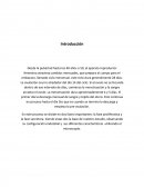 Fase del ciclo uetrino