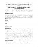 Él vidrio,y él fuego