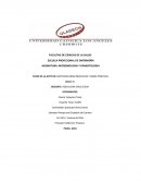 BACTERIAS GRAM NEGATIVAS Y GRAM POSITIVAS
