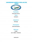 Actividad 2 Asignatura: Sociología.