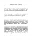Metabolismo Aerobio y Anaerobio