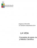 Los científicos han buscado y encontrado vida en muchos lugares inimaginables