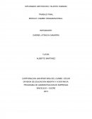 CAMBIO ORGANIZACIONAL.