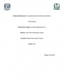 Nombre Institucional: Universidad Nacional Autónoma De México.