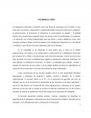 ¿Qué importancia tiene la inteligencia emocional para la empresa de transportes Lázaro Cárdenas?