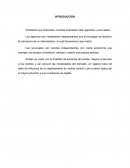 Agencias y sucursales desarrollo