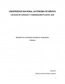 Práctica No.2: Simulación en la formación de fósiles en el laboratorio