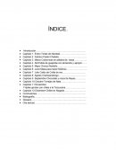 Ensayo Como agua para chocolate.