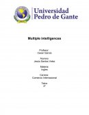 Multiple intelligences.