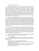 ¿Qué son los alimentos transgénicos?