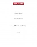 Unidad 1: Definición de Liderazgo