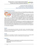 Que es Chutni by MCGLO?