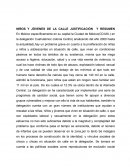 NIÑOS Y JÒVENES DE LA CALLE JUSTIFICACIÒN Y RESUMEN