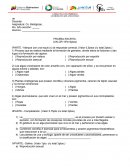 Prueba escrita de 4 año