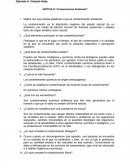 ARTÍCULO “Contaminación Ambiental”