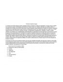 Toma de muestra de agua