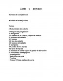 Corte y peinado.
