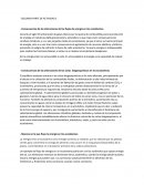 Flujo de energia en los ecosistemas.