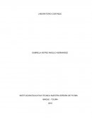 LABORATORIO DE CONTABILIDAD.