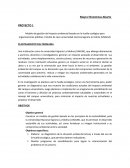 Proyecto investigacion economico.