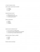 Figura y cuerpos geometricos.