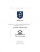 PRESENTADO POR: CRISTIAN CAMILO SOLARTE HUACA